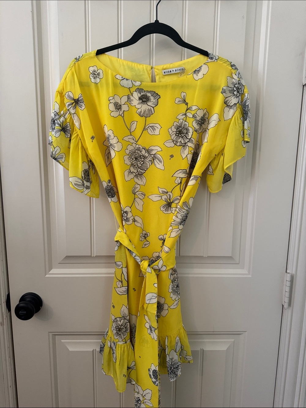Alice and Olivia Dress